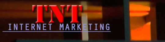 TNT Internet Marketing Denver Logo